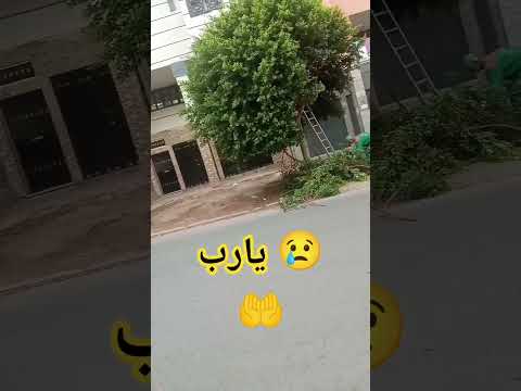 اللهم نستودعك ايام مضت ونسالك الخير في الايام القادمه دعاء اكسبلور مشهد يارب