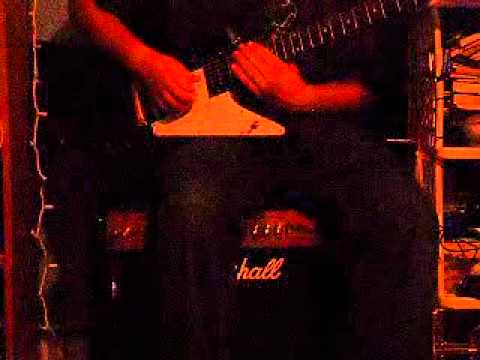 Free Bird- Lynyrd Skynyrd Cover (Slide & Half of Solo)