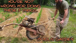 Garden with Sense for Sanity (Forget the "YouTube Rules")