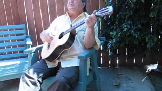 kala brand tenor guitar - bring it on home to me