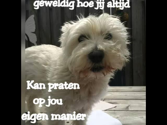 Mandy mijn lieve kleine meid