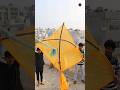 Big kite in makar sankranti 2024 shorts makarsankranti kite kitefestival