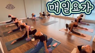 [엔젤요가] 오늘도 요가 | 매일수련 | 하타요가 🧘🏻
