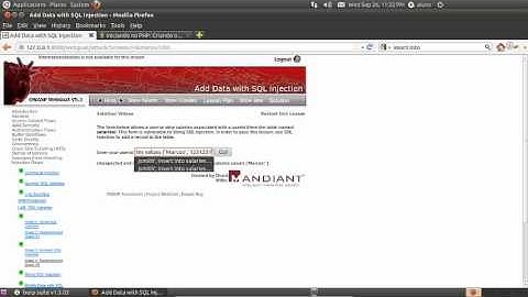 Injection Flaws   Add Data with SQL Injection