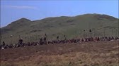 Monty Python God - YouTube