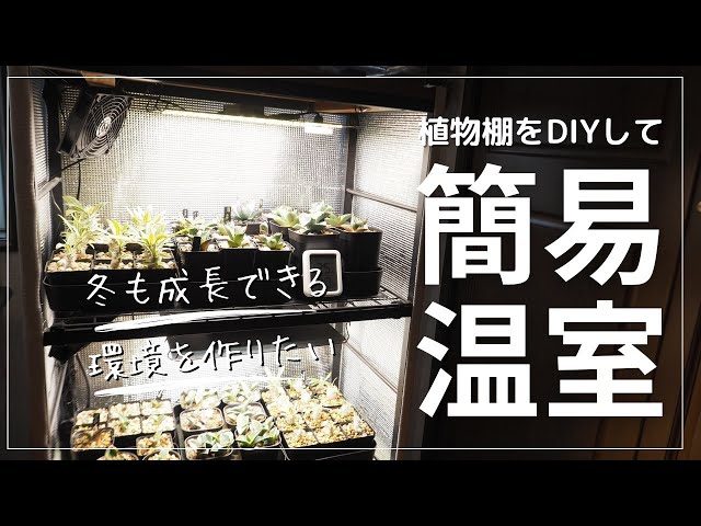 塊根植物や多肉植物を冬でも成長させたい！冬越しに植物棚を簡易温室に