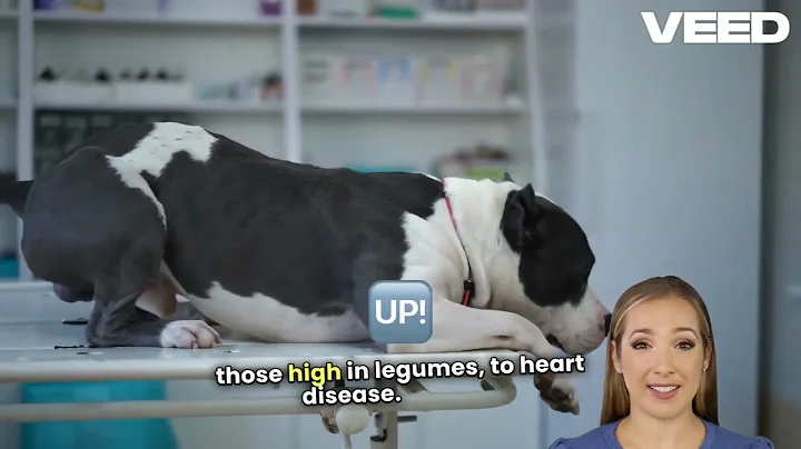 Grain Free Diets  Good or Bad for Pets