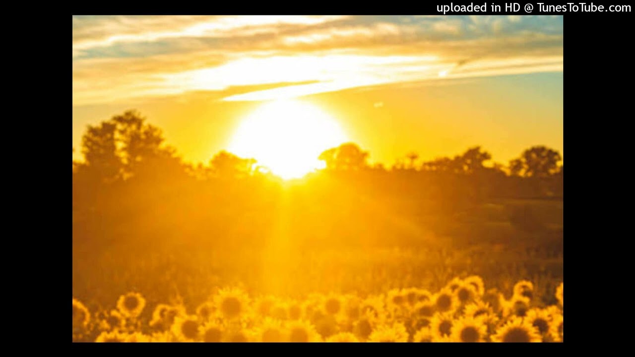 [FREE]lil tony x lazerdim700 type beat - morning