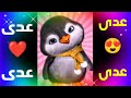عدى عدى قلبي يا ناس اغنية باسم عدى اغنيه بأسم عدي اسم عدى السعودية الجزائر المغرب القطة توم 