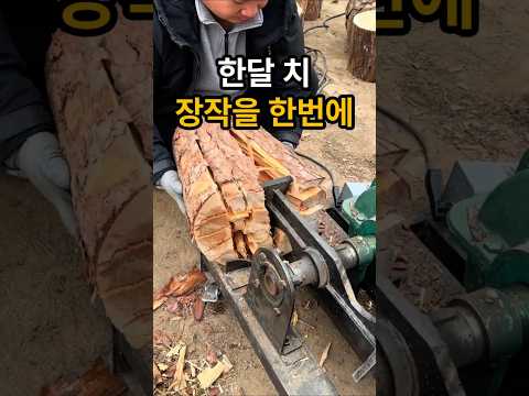 한달 치 장작을 한번에 만들기 / 회전형 장작 패는기계 #유압도끼 #유압장작패기기 #장작패기기 #꿀템 #꿀템추천