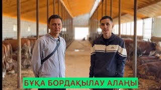 картинка: Мал бордақылау алаңы.