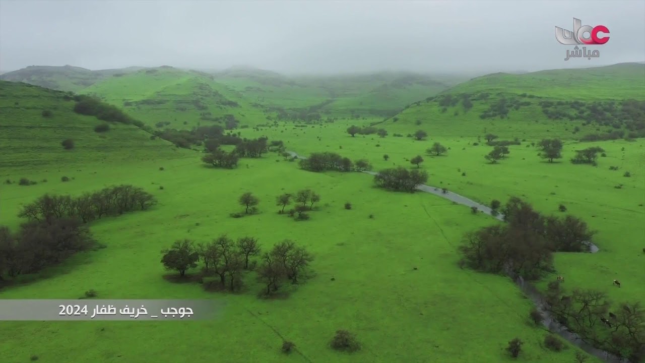 بث مباشر|  برنامج درس على الهواء - مادة اللغة الإنجليزية