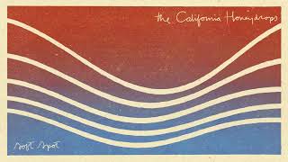 The California Honeydrops - Soft Spot (Full Album) (Official Audio) screenshot 2
