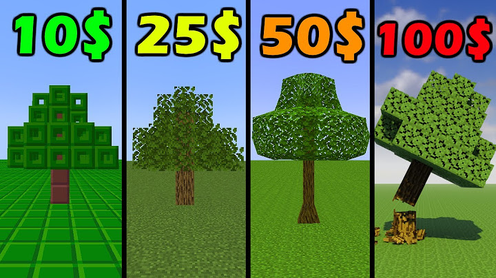 minecraft for 10$ vs 25$ vs 50$ vs 100$