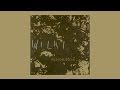 Wilki - Crazy Summer [official audio]