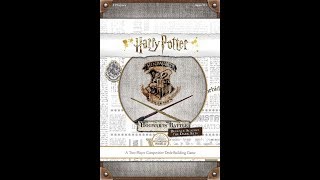 Dad vs Daughter - Harry Potter Hogwarts Battle - Defence Against the Dark Arts