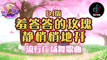 经典好听《羞答答的玫瑰静悄悄地开》DJ版 | 流行广场舞舞蹈 歌词歌曲 |  Lyrics Song | Tiktok Dance Douyin 洗脑歌