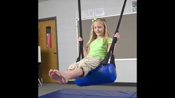 Fun And Function Air Lite Seal Bolster Swing