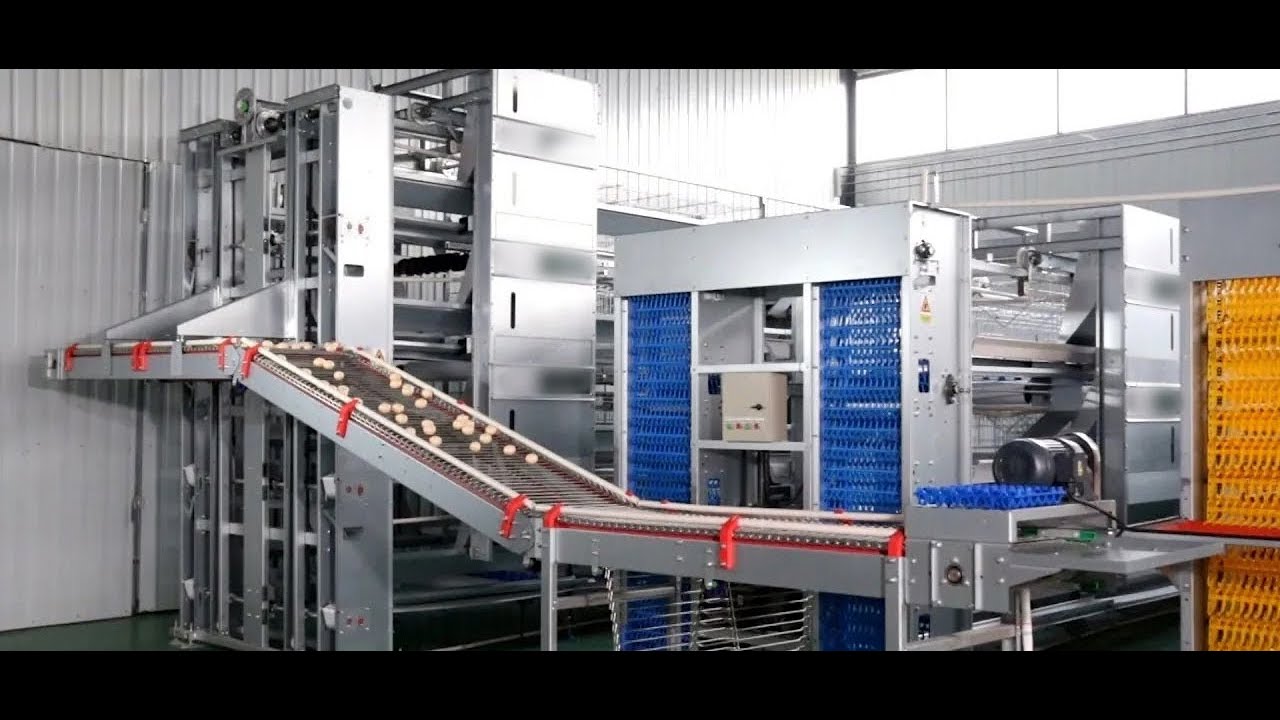 Automated Poultry Farm Equipment, Battery Cage System