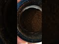 القهوة المقطرة ماكينة القهوة الأمريكية بلاك اند ديكر القهوة المقطرة ماكينة القهوة الأمريكية بلاك اند ديكر