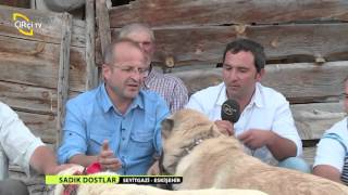 SADIK DOSTLAR KANGAL YETİŞTİRİCİLİĞİ 4. BÖLÜM