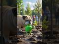 this dog giving water in tree 🌲#viral #facts #ai #cartoon #comedy #dog #aivideo