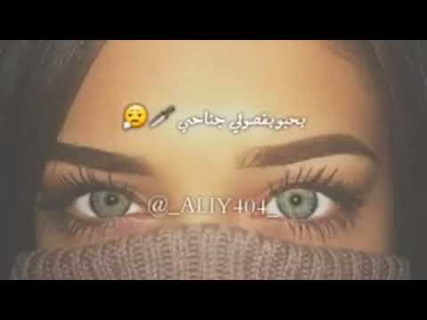 بحبو يقصولي جناحي