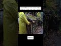 Forest Shelter in One Day #wood #survival #butifyoucloseyoureyes #woodworking #camp