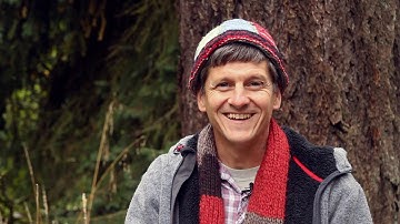 Bird Language - Shapes of Alarm