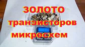 Gold Silver в поиске золота