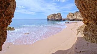 Study Session With Beach Waves: Ambient Ocean Sounds for Concentration by Naturaleza Viva - Sonidos y Paisajes Increíbles 22,473 views 5 months ago 3 hours, 2 minutes