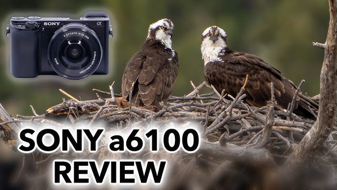 Sony a6100 Review (2022)  Watch Before You Buy 