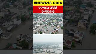 TN:Thoothukudi reels under flood as heavy rain unleashes fury in South Tamil Nadu |Odia News #Shorts