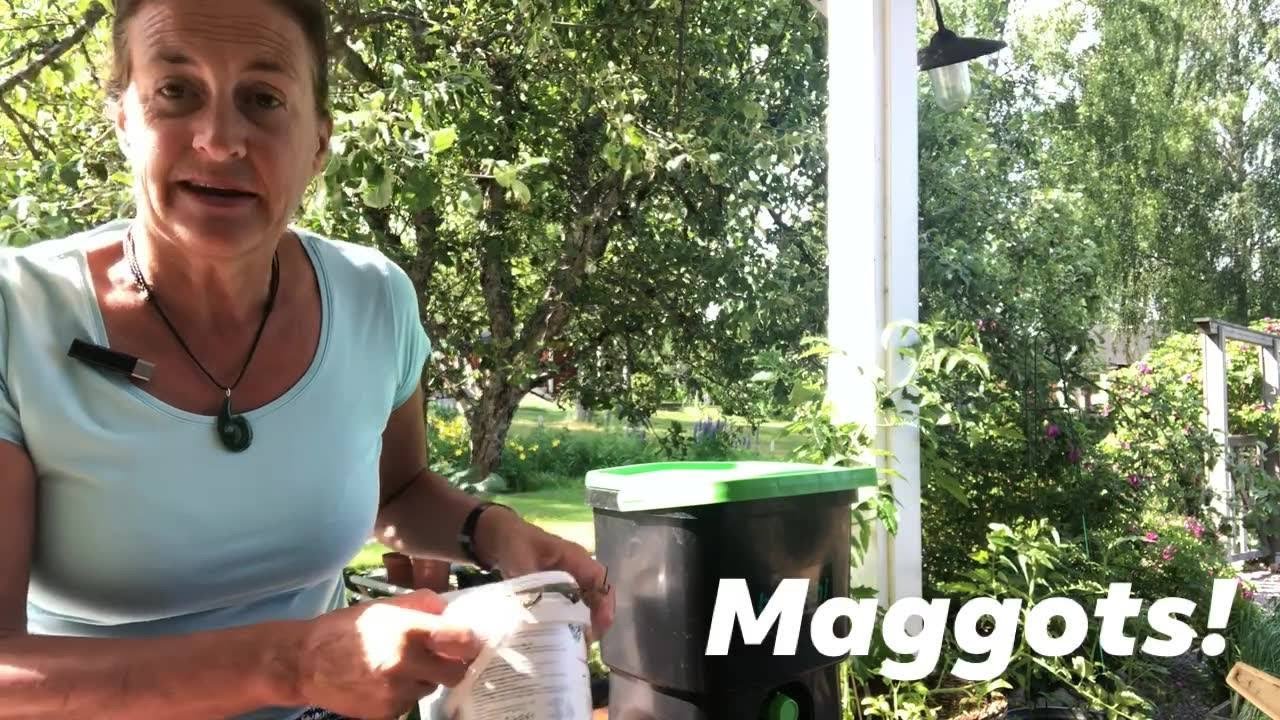 Here’s how to avoid maggots in your bokashi compost!