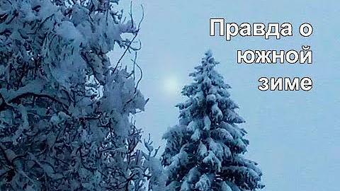 Погода в Краснодаре: чего ожидать зимой / Какую обувь носим и зимой и летом