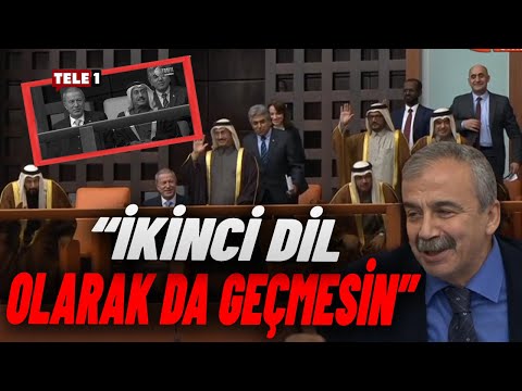Katar'dan Meclis'e gelen parlamenterleri tanıtan Sırrı Süreyya Önder: Açıklamasını yapayım da...