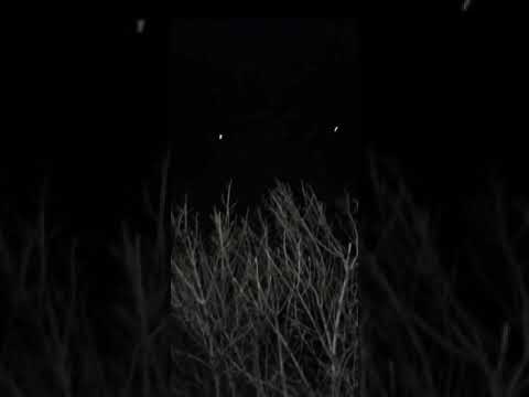 UFO'S IN THE BRONX !!! 1/16/21