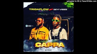 Tridaflow ft Seyi Vibez - Cappa