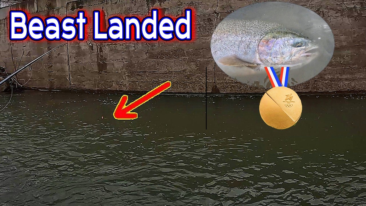 Зимняя стальная форель ЗОЛОТО