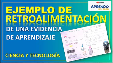 O que é o feedback que aprendo em casa?