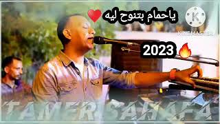 تامر صحافة.. ياحمام بتنوح ليه ♥ 2023 🔥