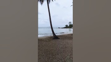 Corbyn cove beach ⛱️🏖️|| #vlog #video #shorts #youtubeshorts