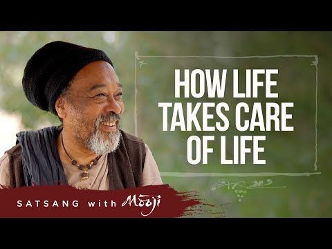 How Life Takes