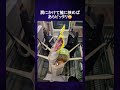 蓋が閉まらない料理集合!これも不器用、ドジっ子?