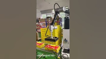 Automatic cooperative robot palletizing machine for case