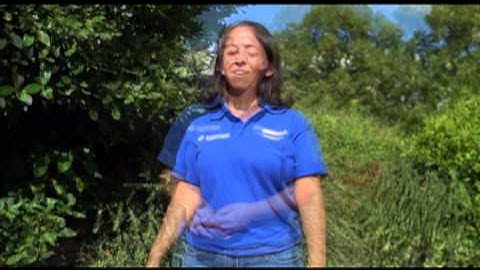 Meet Your Union Representatives | Mehvish Maghribi | Environmental Chair