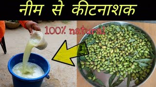 नीम के बीजों से शक्तिशाली कीटनाशक बनाने की विधि| निंबोली से कीटनाशक|Organic pesticide by neem seed