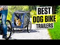 3 BEST Dog Bike Trailers - Don’t Ride Without Your Pup’s Safety!