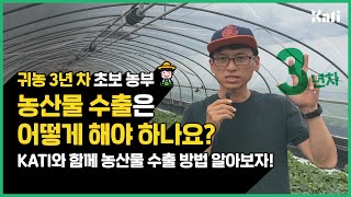 귀농 3년차의 참외 수출 알아보기! 정보만 제대로 찾아도 성공~?  | 농식품 수출정보 KATI