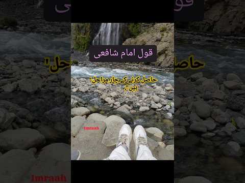 Imam Shafi Quotes Imraah2021 Quotes Youtubeshorts Viralshort